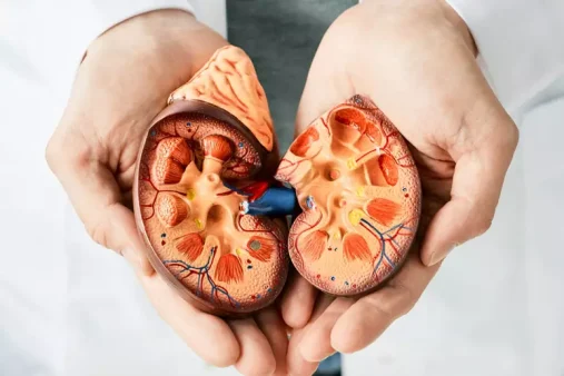 Cirurgia Cálculo Renal